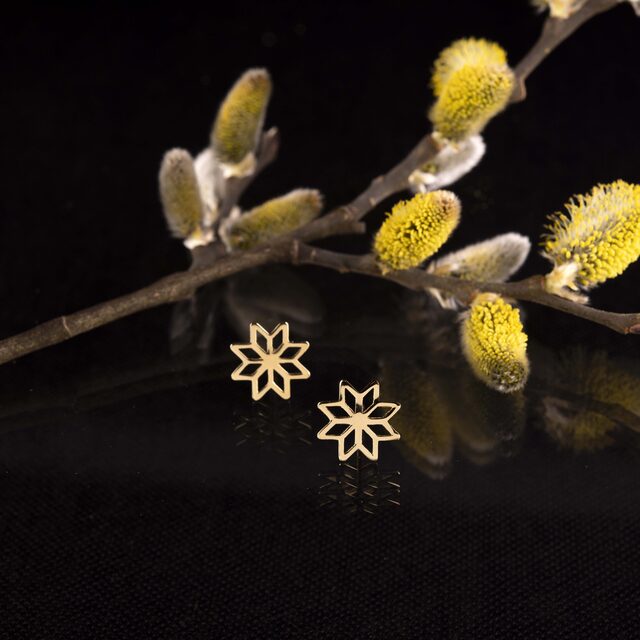 Studs Novohrad star 1