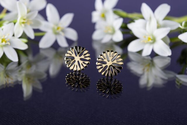 Studs Trakovice 2