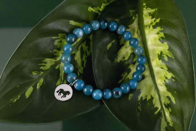 Bracelet piaffe - circle 1 - various gemstones