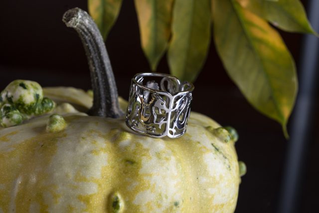 Ring dragon - strip