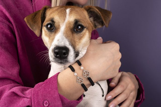 Set – 2x black bracelet paw dog Cami – cord + Pearl