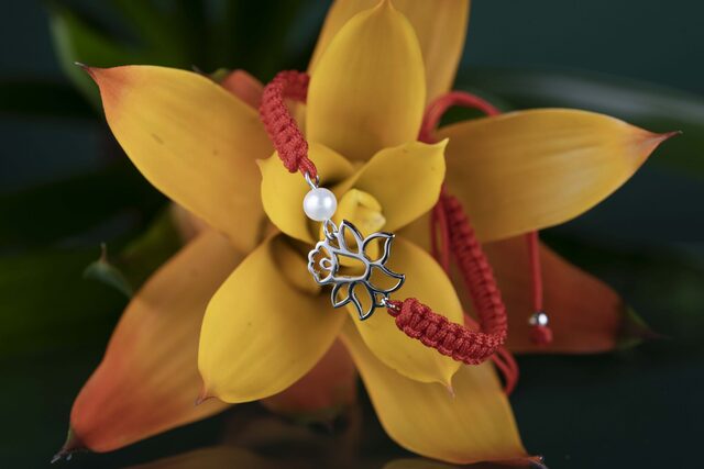 narcis mini aa_3