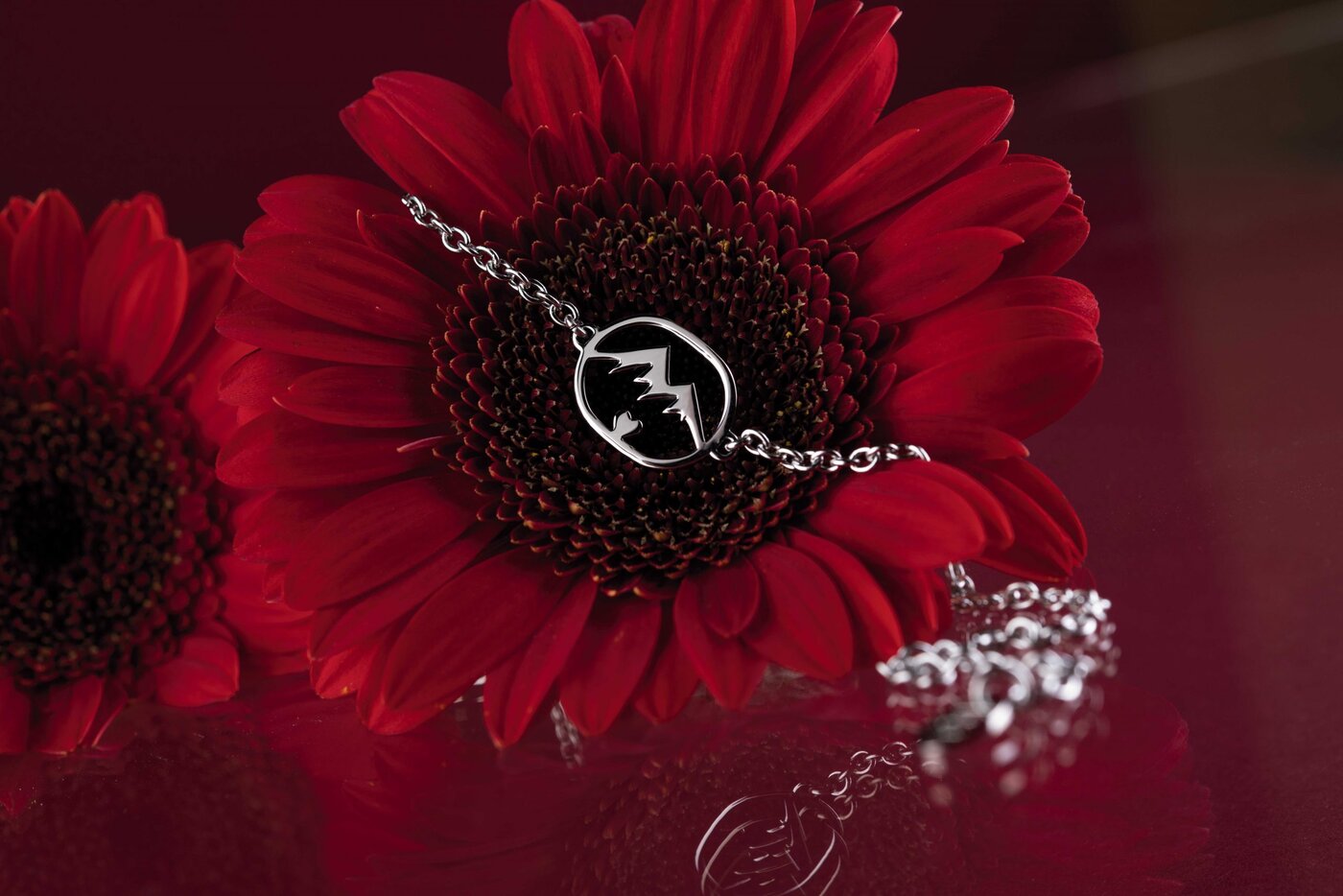Bracelet mountains oval 2 – chain