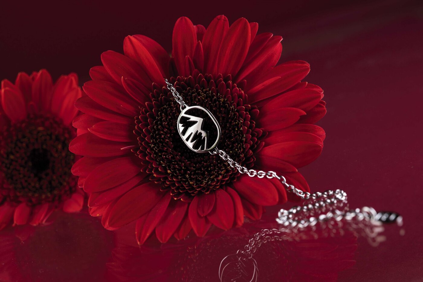 Bracelet mountains oval 1 – chain