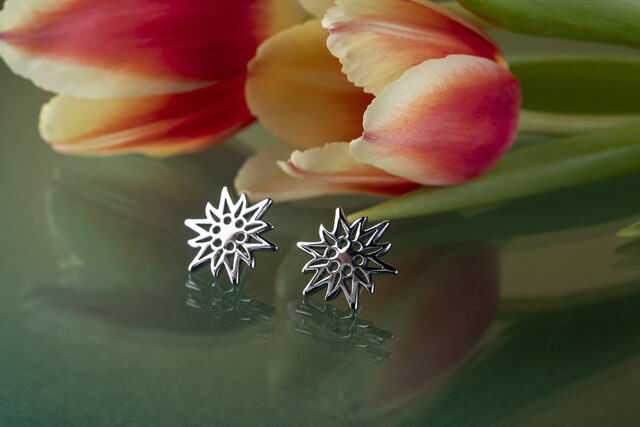 Studs edelweiss