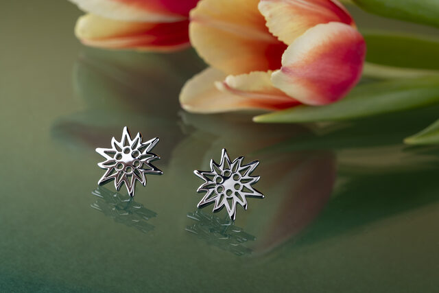 Studs edelweiss