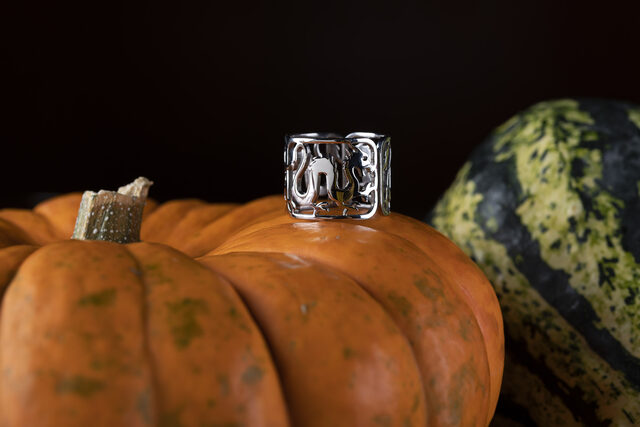 Ring dragon – strip