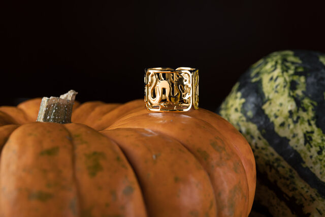 Ring dragon – strip