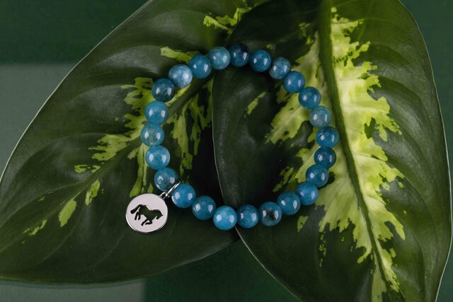 Bracelet piaffe – circle 1 – various gemstones