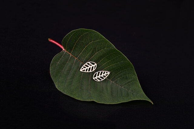 Studs small beech leaf