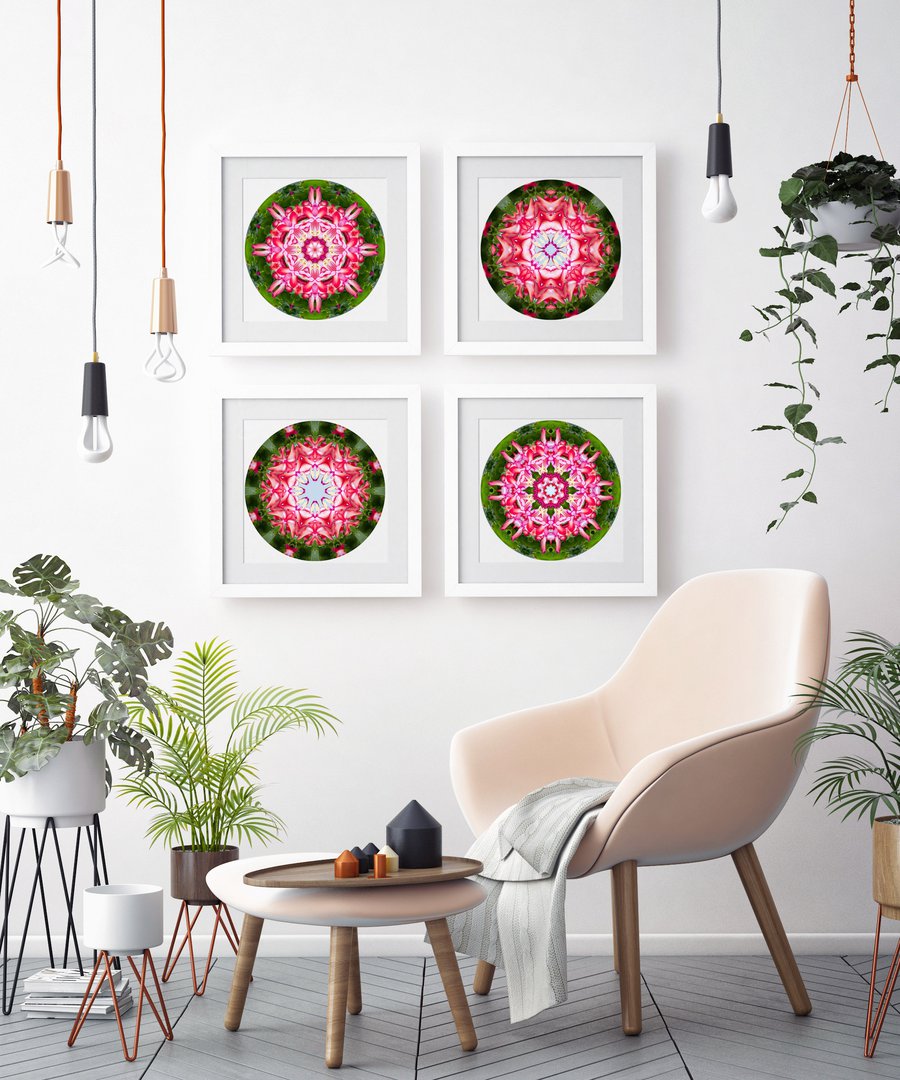 Štúdia v ružovej č.5