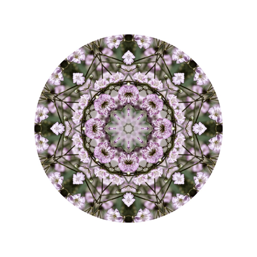 Ružový závoj č.2