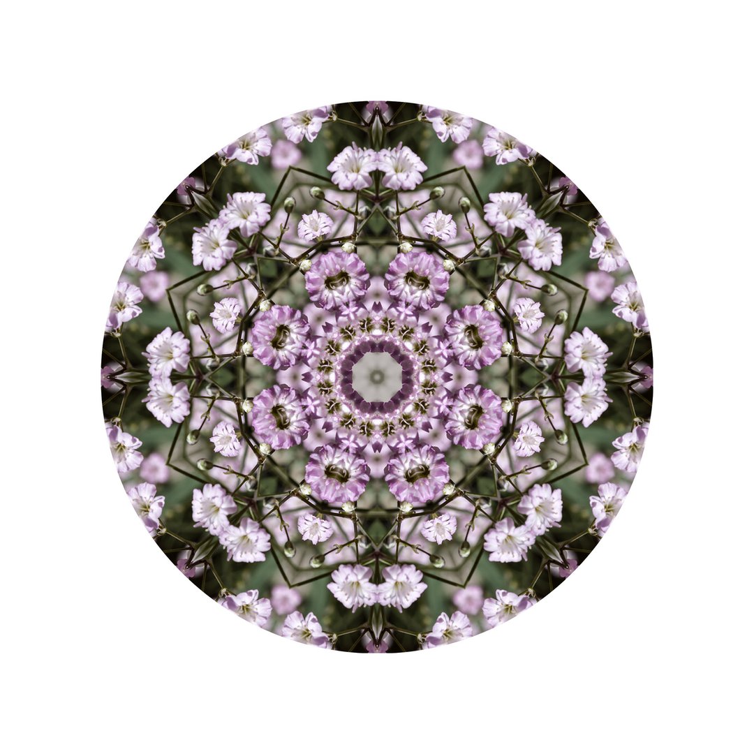 Ružový závoj č.3