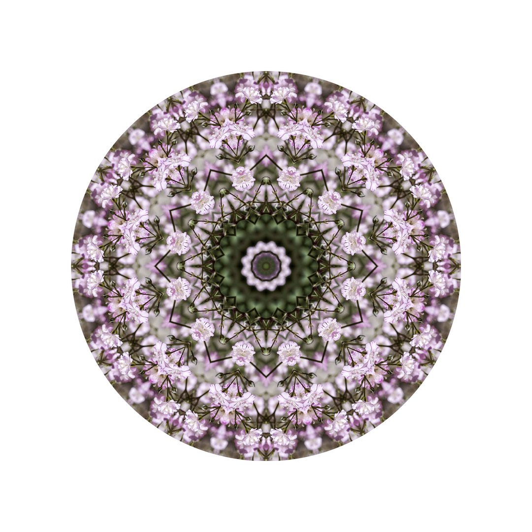 Ružový závoj č.4