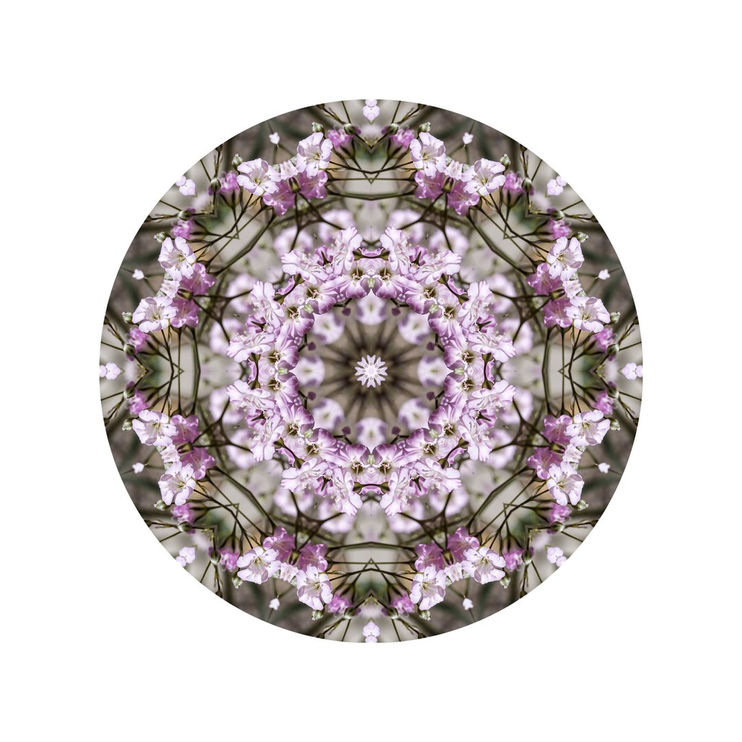 Ružový závoj č.5