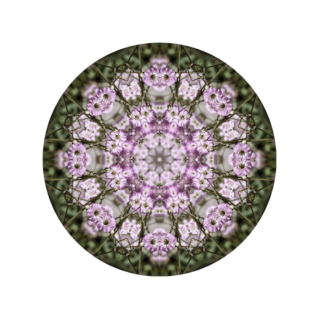 Ružový závoj č.6