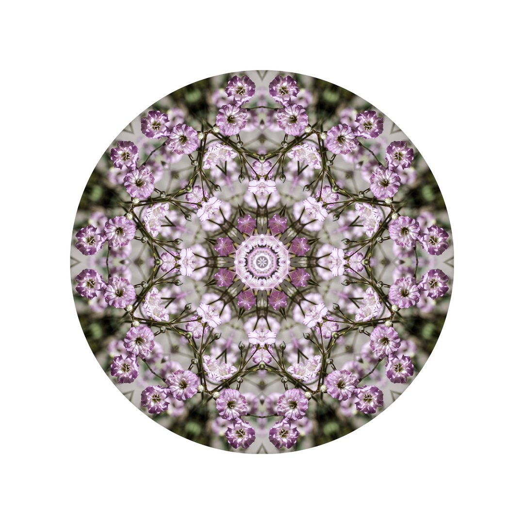 Ružový závoj č.7