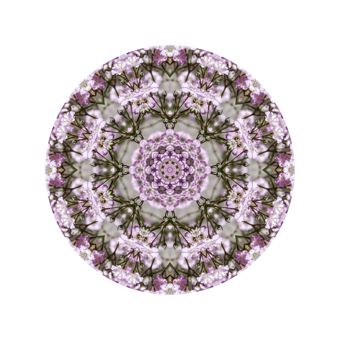 Ružový závoj č.1