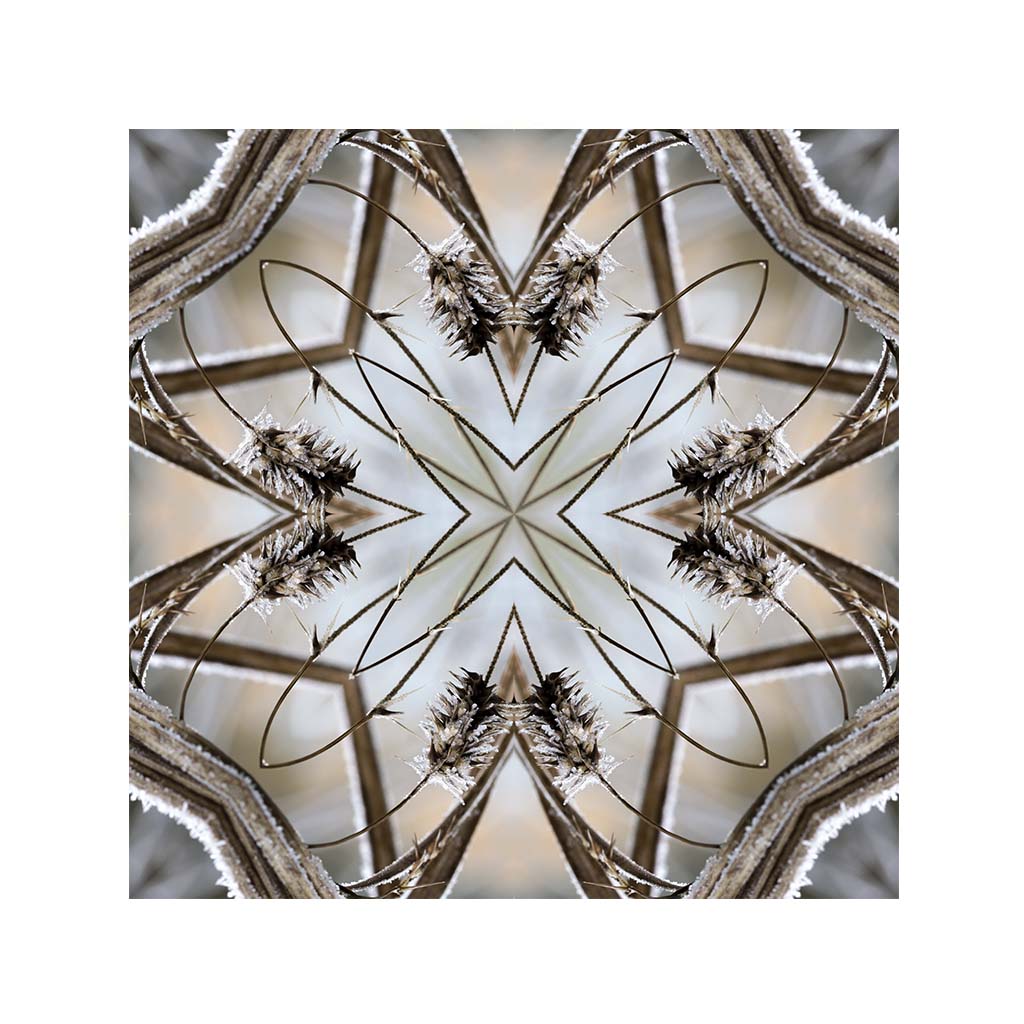 Jazerný vánok č.6