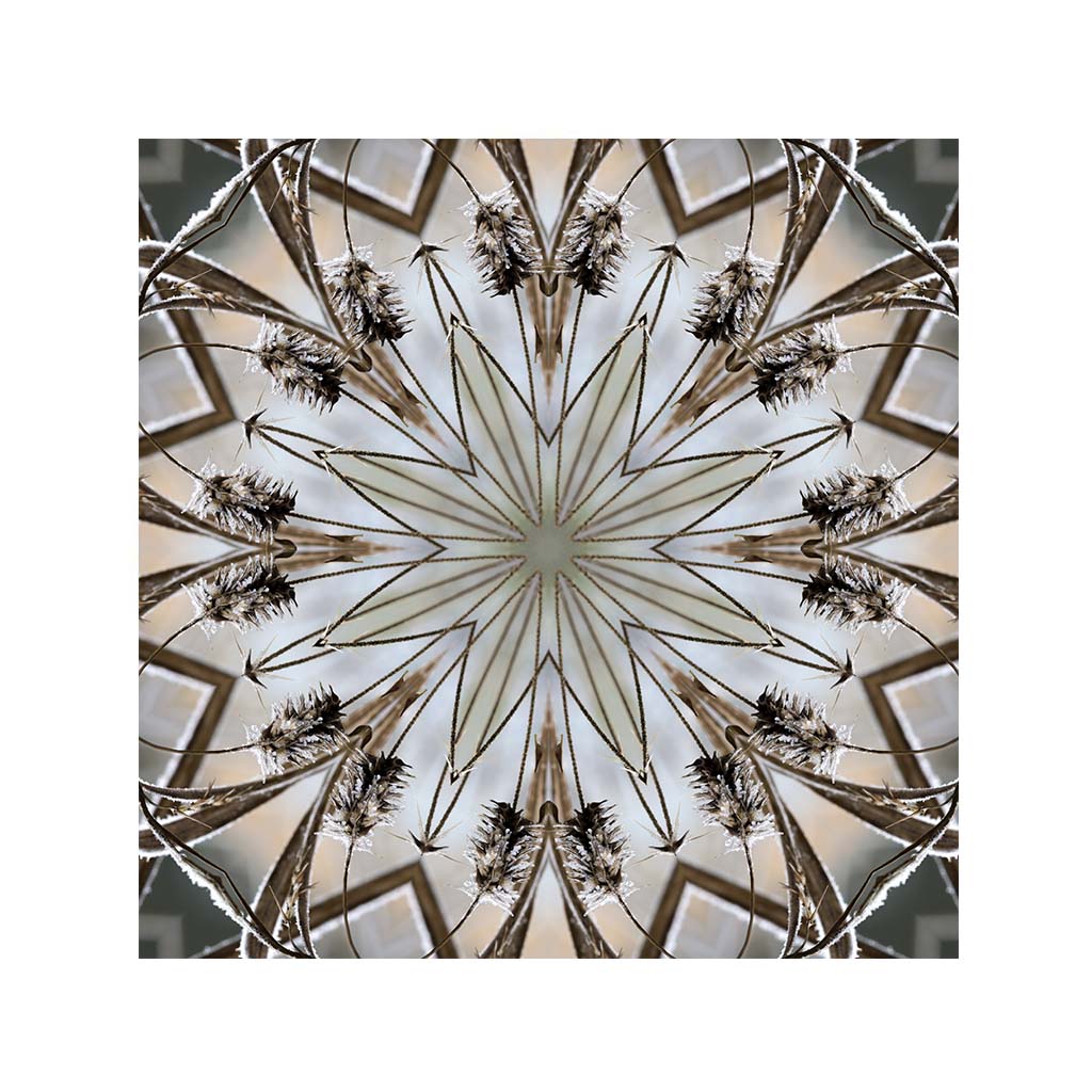 Jazerný vánok č.4