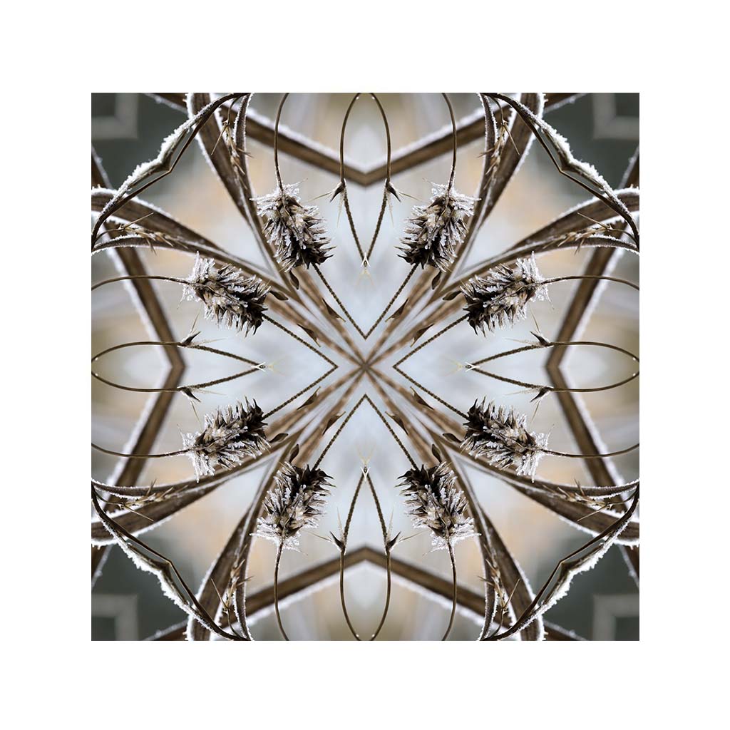 Jazerný vánok č.1