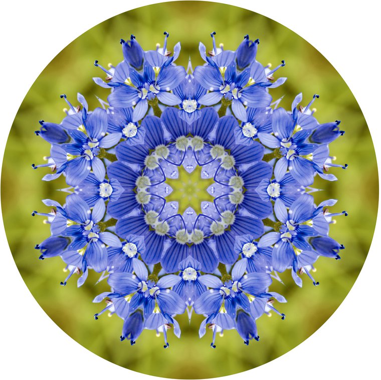 Veronika v novom šate