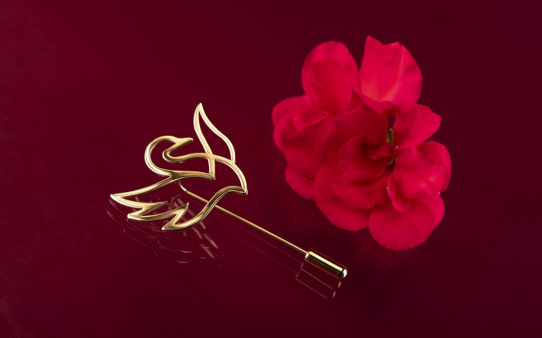 Brošne vytvorené pre galavečer Zlatá labuť 2024