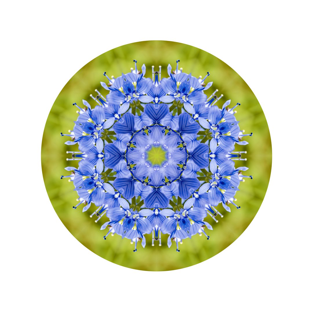 Veronika v novom šate č.4