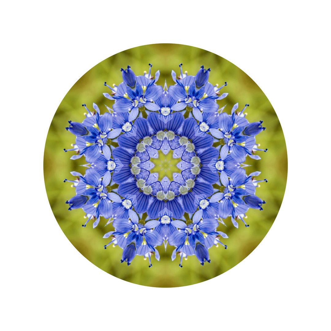 Veronika v novom šate č.1