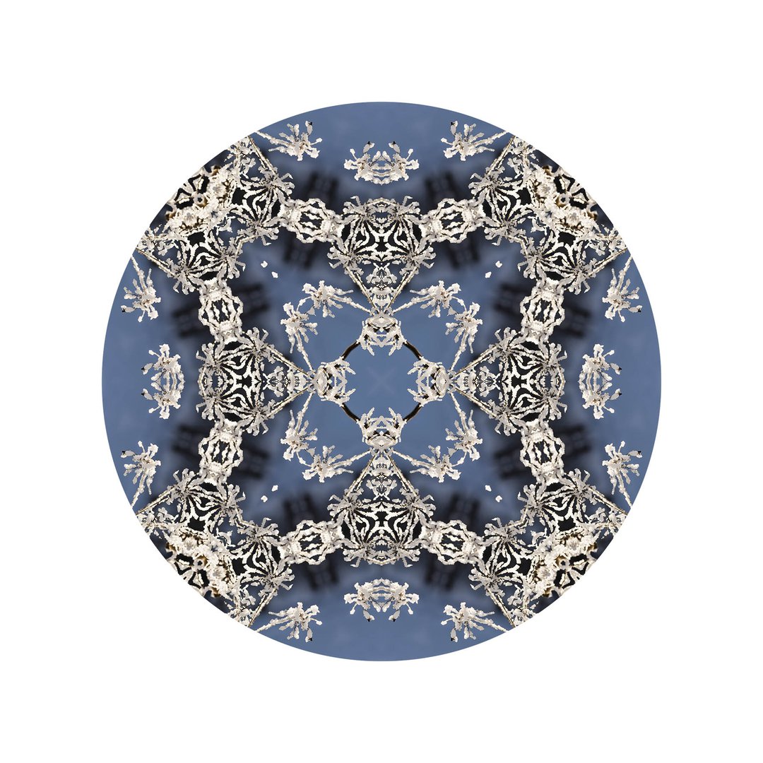 V čipke odetá č.2