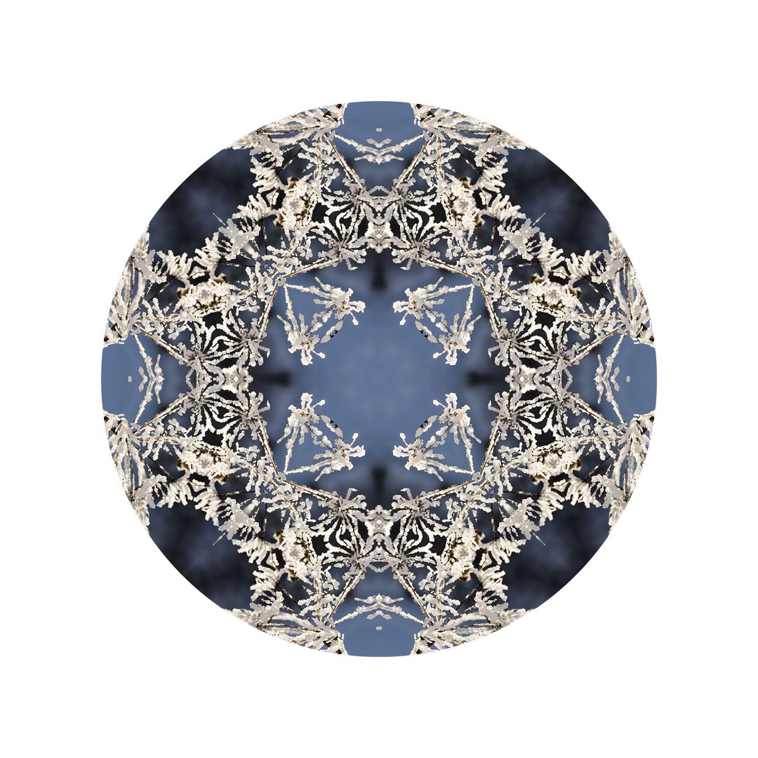 V čipke odetá č.3