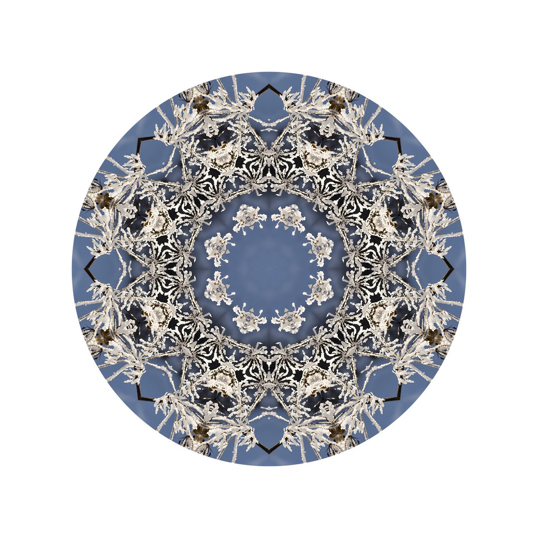 V čipke odetá č.5