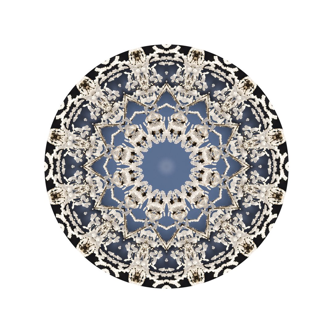 V čipke odetá č.6