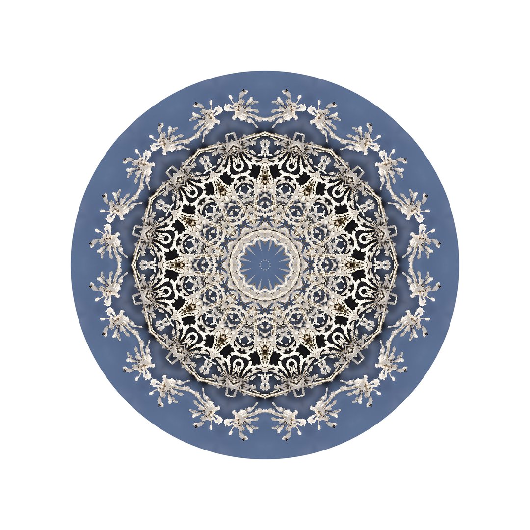 V čipke odetá č.7