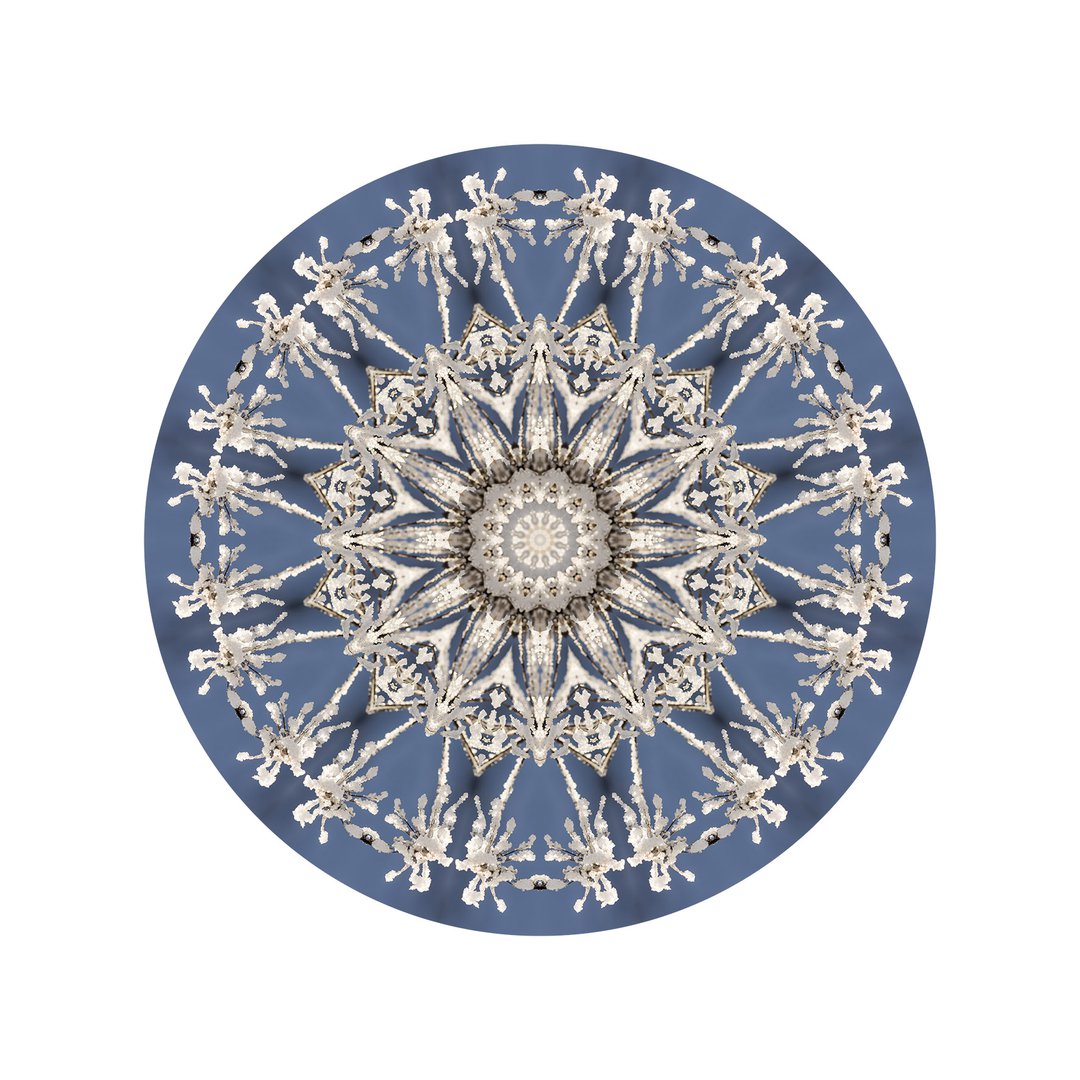 V čipke odetá č.8