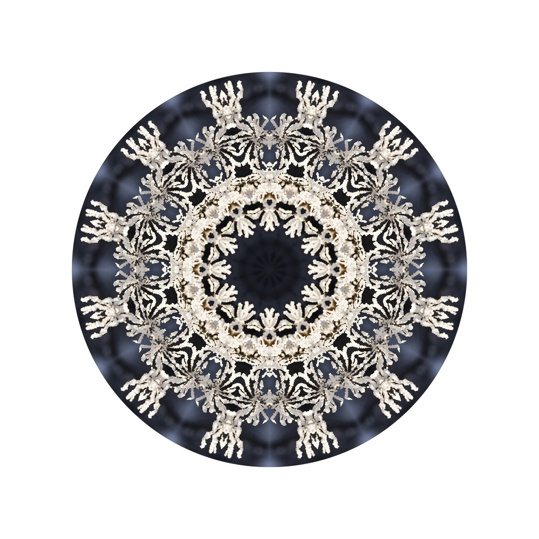 V čipke odetá č.9