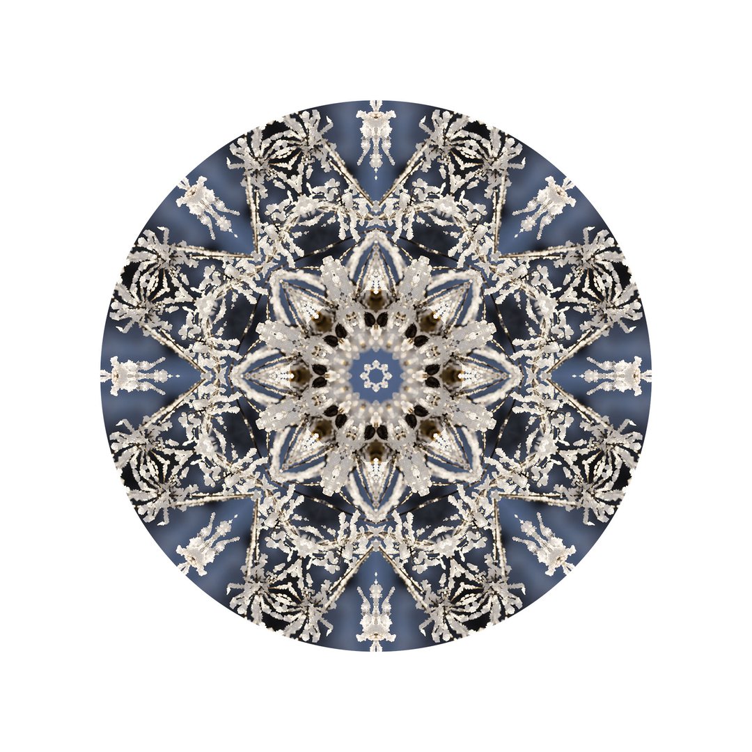 V čipke odetá č.10