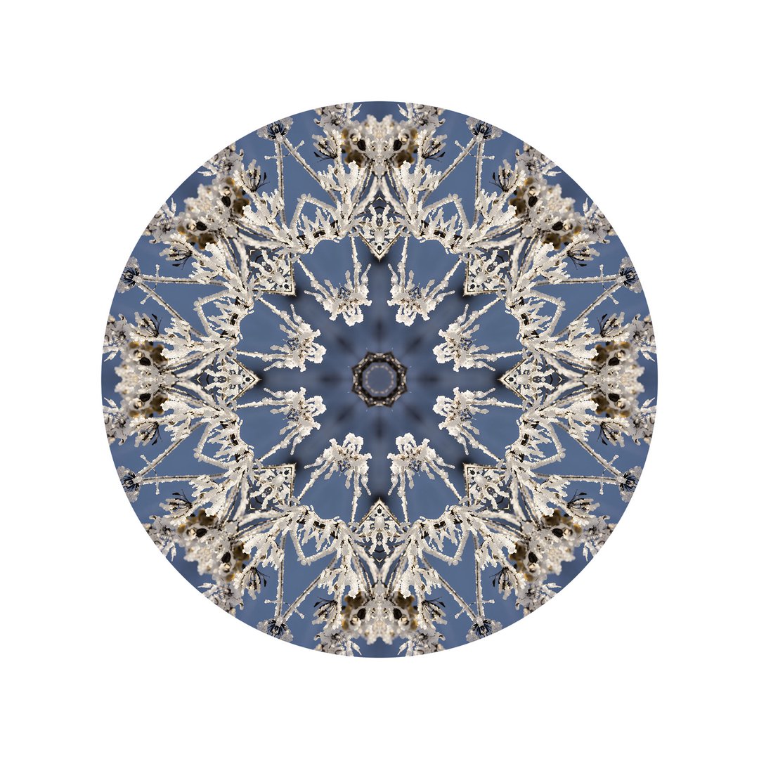 V čipke odetá č.12