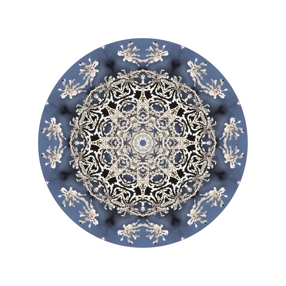 V čipke odetá č.1