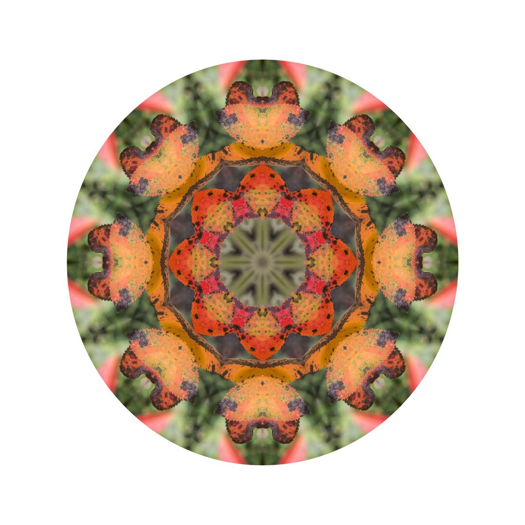 Jesenné poludnie č.2