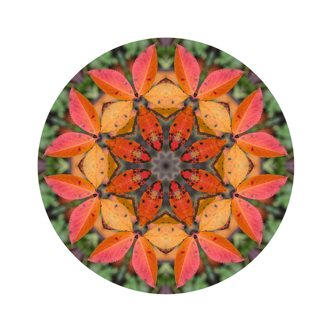 Jesenné poludnie č.3