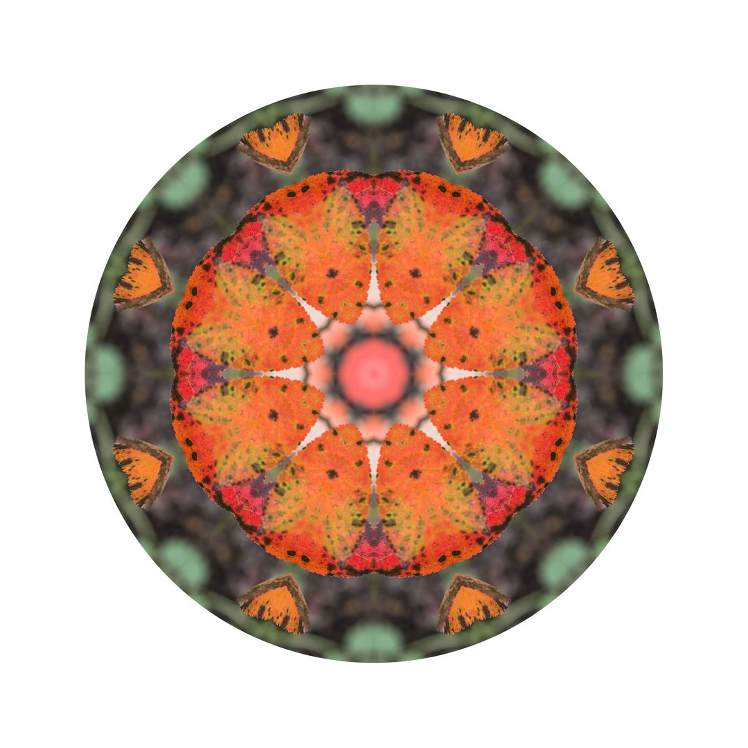 Jesenné poludnie č.4