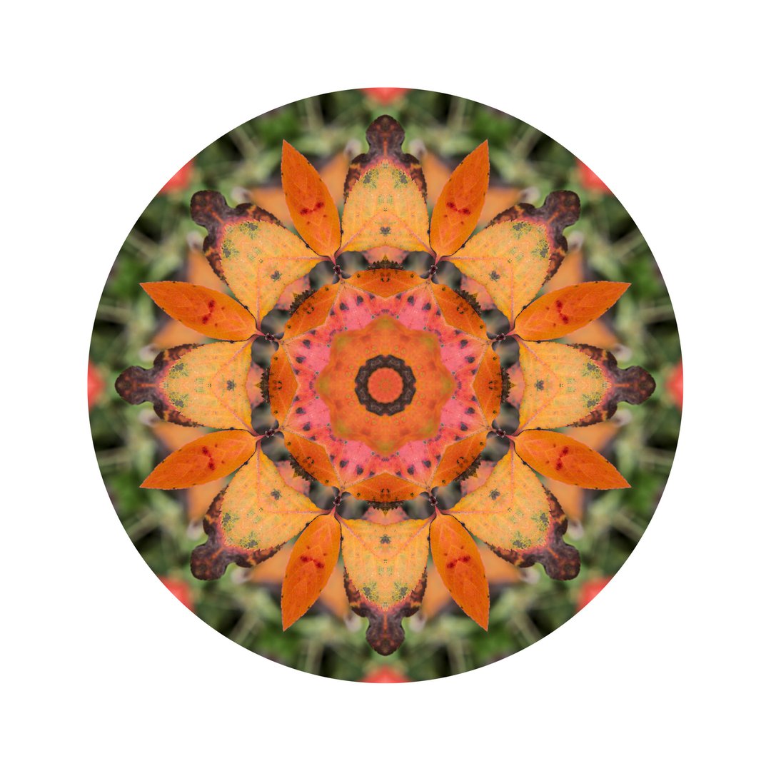 Jesenné poludnie č.5