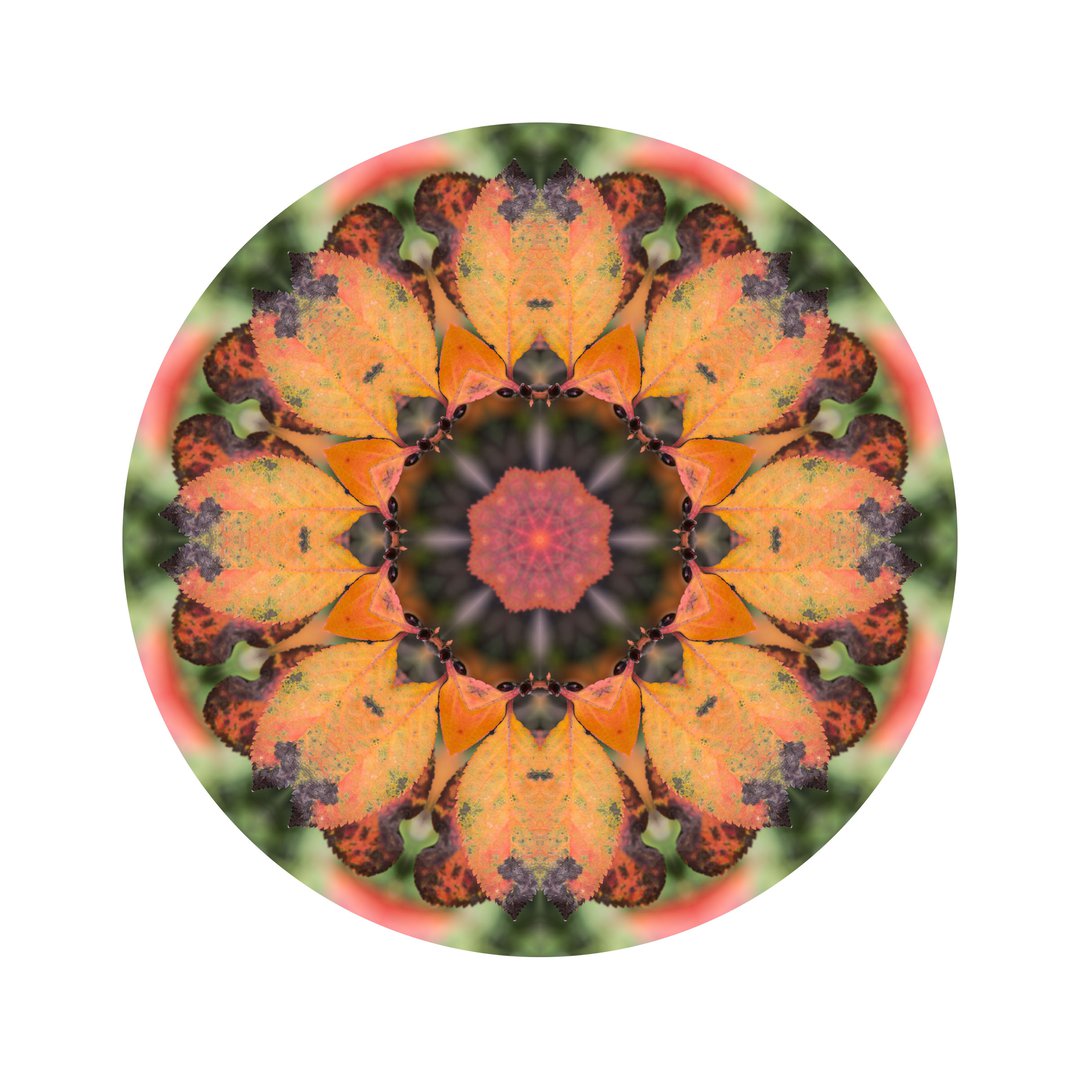 Jesenné poludnie č.6