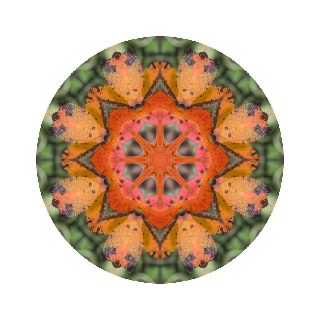 Jesenné poludnie č.7