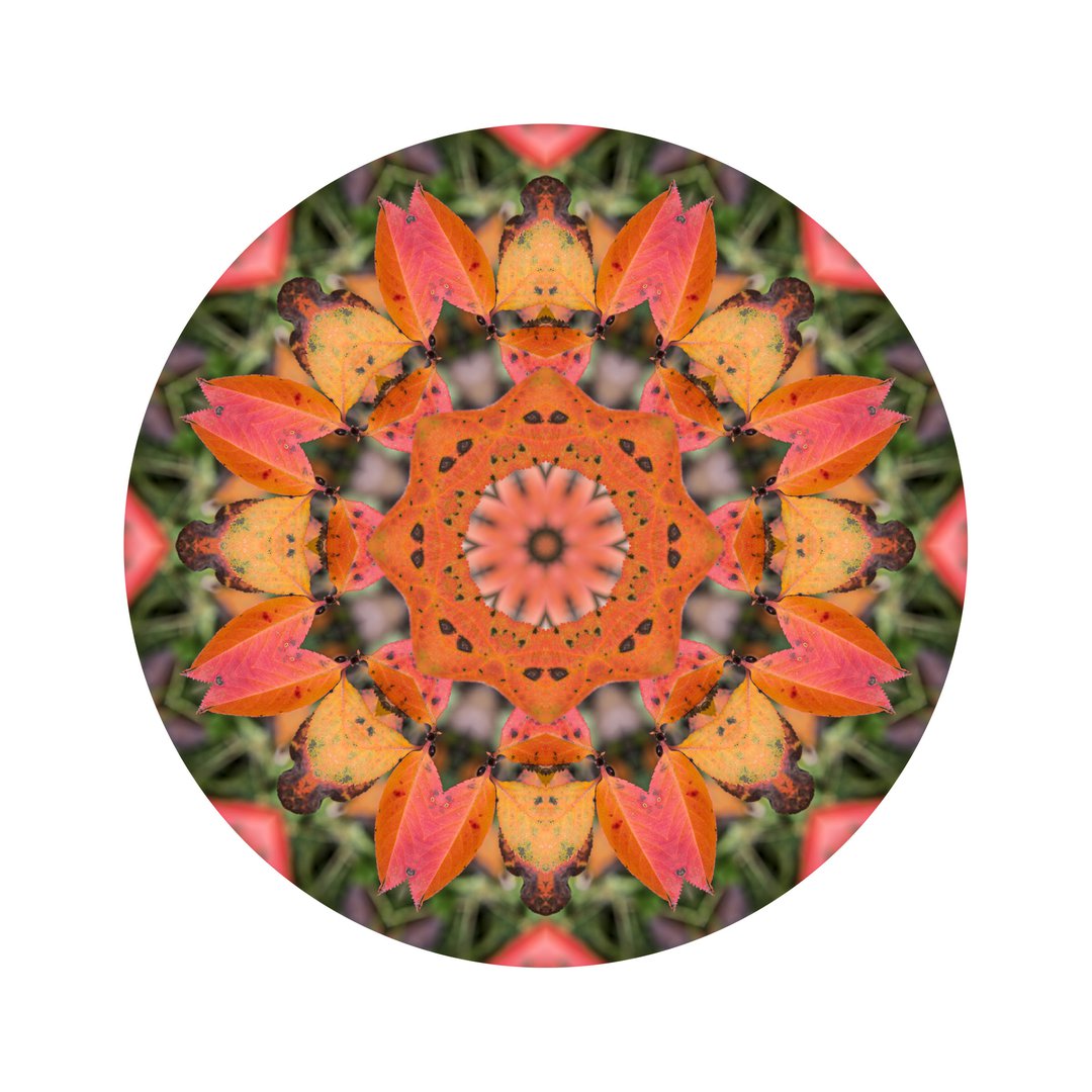 Jesenné poludnie č.8