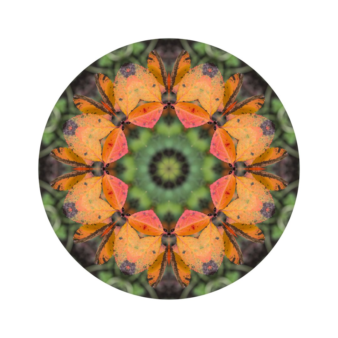 Jesenné poludnie č.1