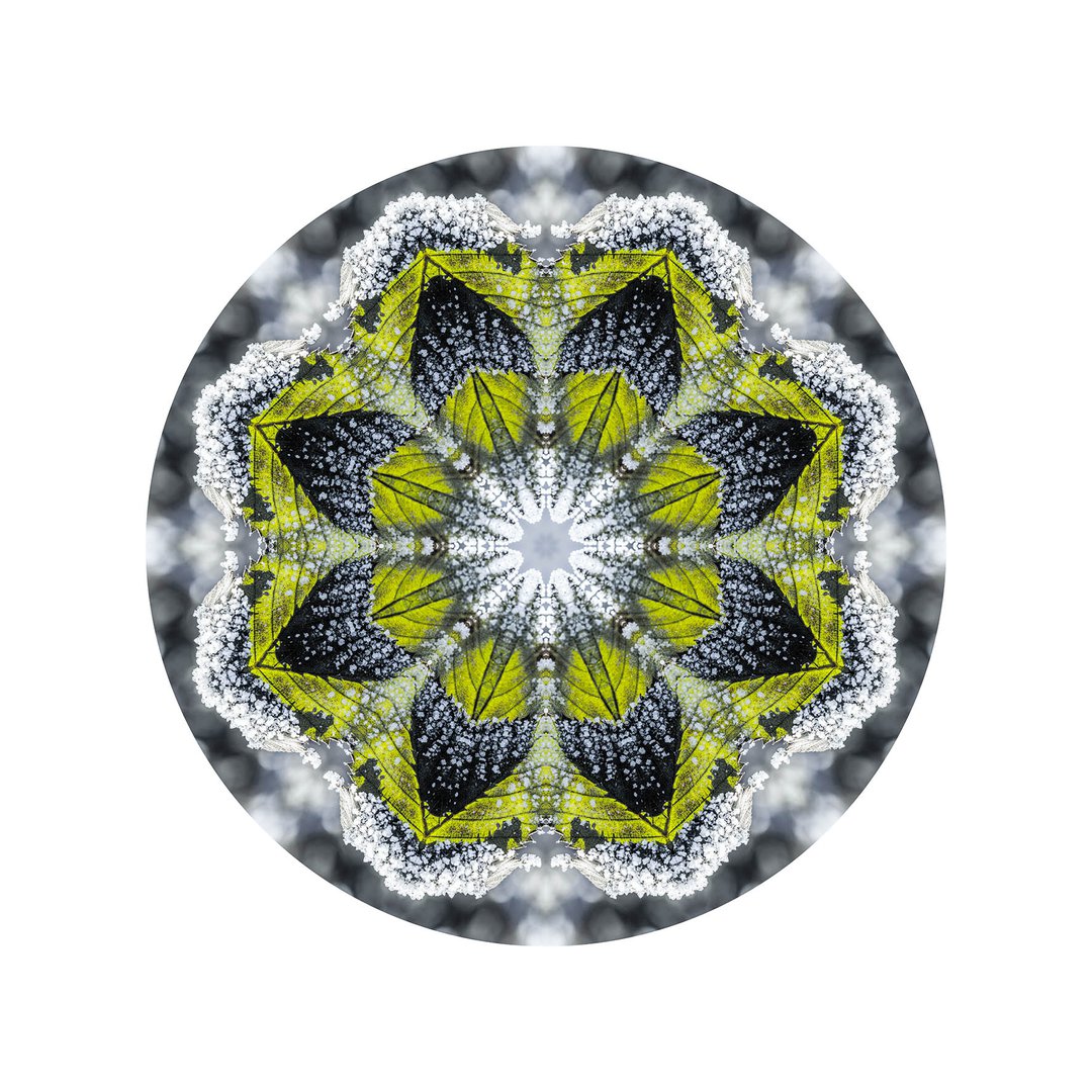 Novembrový mráz č.2