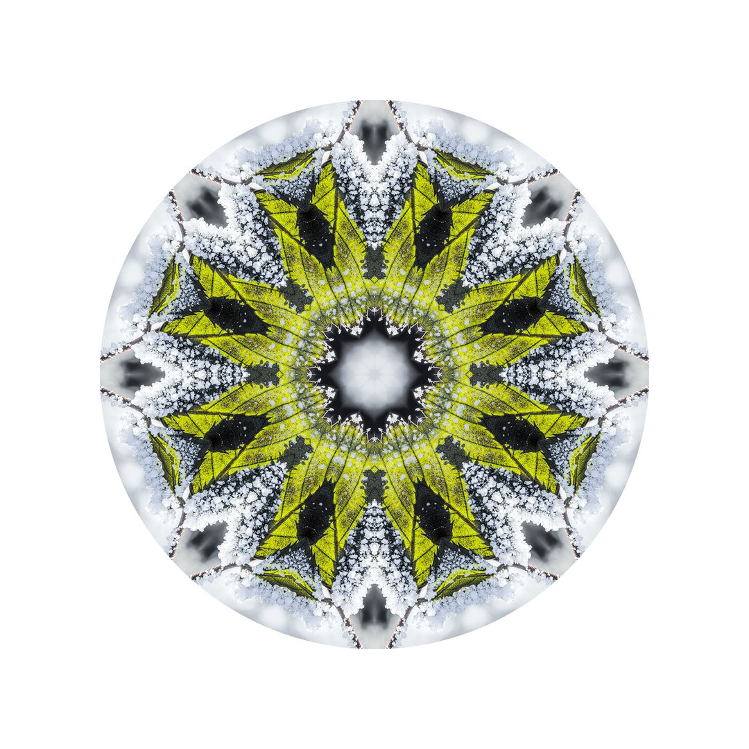 Novembrový mráz č.3