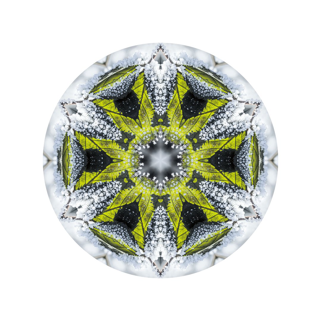 Novembrový mráz č.4